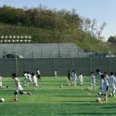 장안웃길 이미지
