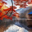 11월 만산홍엽 내장산(자연관찰로, 서래봉코스) 산행 이미지