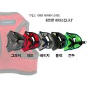 컴패니언 이미지