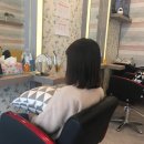더아름다운머리