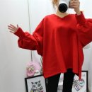 쁘띠콩 이미지
