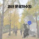 문광 | 청주 근교 은행나무길 괴산 문광저수지 아산 곡교천 비교 후기