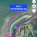 동호 | [고창여행] 서해랑길 41코스 &#39;수요일엔 서해랑길&#39; 프로그램 참여 후기 (동호해수욕장, 구시포해수욕장)
