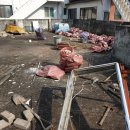 평화여인숙 이미지