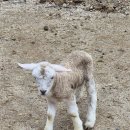 냉정목장 이미지