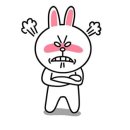 코니