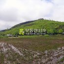 구룡리농장 이미지