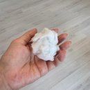 현세탁 | [임신 34주차 - 36주차] 부산여행 이재모피자 신생아옷세탁 봄동비빔밥 에어컨청소