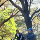 산여울 이미지