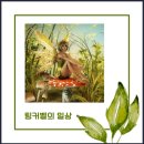 부자아빠공인중개사사무소 | ★안산 이색 동물체험 카페 문래빗★