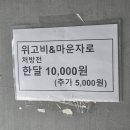갤러리비타민약국 | 이소티논 먹다가 끊으면? - 이소티논 9개월 복용 후 3개월 추가 처방 후기