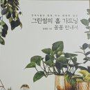 양지까멜리아