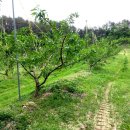 영우농장 이미지