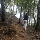 악어화장실 | [충주] 악어봉, 악어섬 전망대. 게으른악어 ,악어봉 최단코스