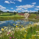 벨라45 마스터스 컨트리클럽 이미지