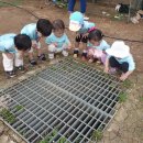 풍림농장 이미지