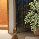 대피소 울릉 이미지