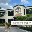도그카페 | 안성애견카페 만나247, 원더풀도그베이까지 다녀온 후기