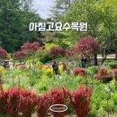 씨유 가평아침고요점 | 경기도 가평 여행 코스 추천 아침고요수목원 예매 꿀팁