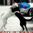 같이 이미지