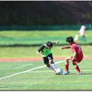 영해생활체육공원 이미지