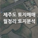 구좌읍 월정리 해수욕장 옆 계획관리지역 토지 분할매매 이미지