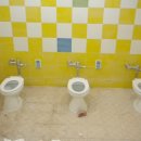 강원도청반비 어린이집 이미지