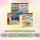 (주)조선호텔앤리조트 부산 웨스틴클럽 | 부산 해운대 5성급 호텔 3곳 투숙 후기 추천 비교 | 시그니엘 파크하얏트 그랜드조선