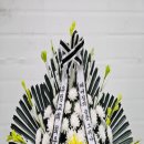 혜강한의원 이미지