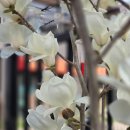 여주보 펜션 이미지