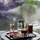 9월12일 /* 횡성과 둔내 평창 숲길 그리고 맛집 이미지