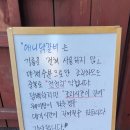 애니닭갈비 이미지