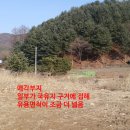 전원마트 Daum카페