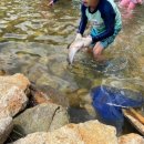 남강캠프 이미지