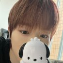 장발에서빡빡까지 이미지