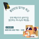 [여호수아 24:19~33] 언약 백성으로 살아가길 결단하는 하나님의 백성들… 이미지