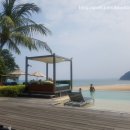 한메드존 이미지