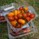 은상농장 이미지