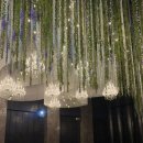 엘 모 | W02. 대전 만년동 웨딩홀 마리드엘 홀투어 후기(계약o)