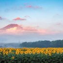 한남아파트 이미지