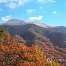 '가는 가을이 아쉬워'..전국 곳곳 막바지 단풍 행락객 '북적' 이미지