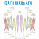 신화치과의원 이미지