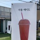 찌깐한커피숍 | [양평 찌깐한커피숍] 해장국 맛집 옆 이름처럼 귀여운 커피맛집