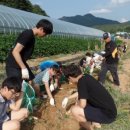 방방마을 이미지