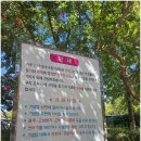 대구광역시립두류도서관 | [537편/대구광역시 달서구 두류동/대구여행지]두류공원 내 두류도서관옆에 위치한 1960년 대구지역...