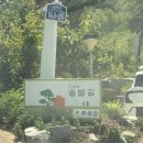 카페동의보감 | [구미김천 아포읍 카페] 솔밭길 과일모찌 후기