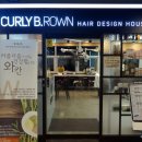 컬리브라운(Curly Brown)