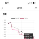 (주)쥬비스다이어트 목동점