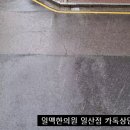 청해탕 이미지