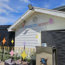 하이플레임 스테이 이미지